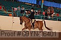 09yn-06401 thumbnail