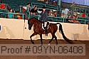 09yn-06408 thumbnail
