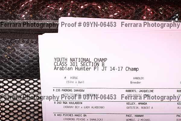 Proof Number 09yn-06453