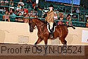 09yn-06524 thumbnail