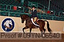09yn-06540 thumbnail