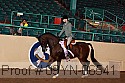 09yn-06541 thumbnail