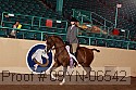 09yn-06542 thumbnail