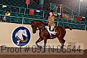 09yn-06544 thumbnail
