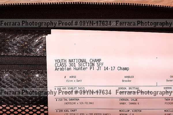 Proof Number 09yn-17634
