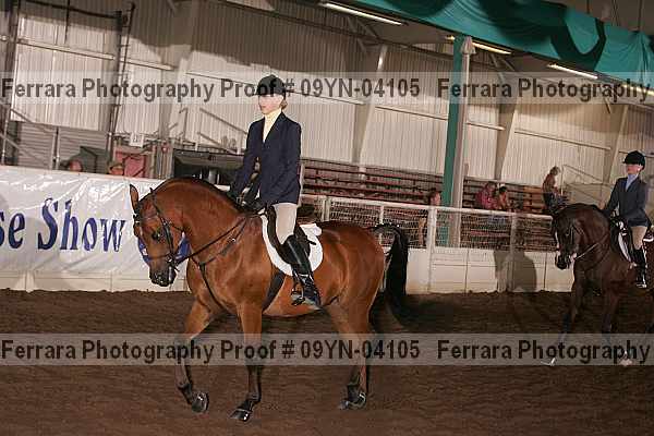 Proof Number 09yn-04105