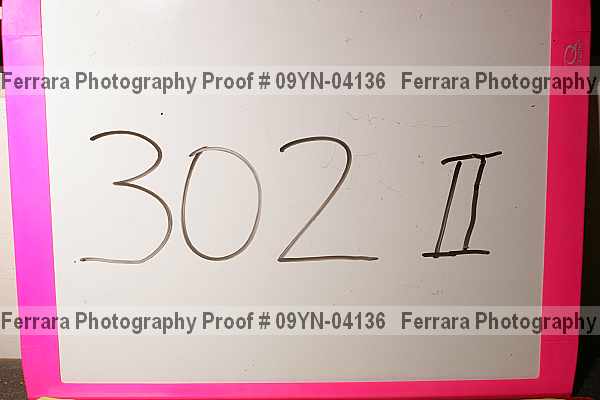 Proof Number 09yn-04136