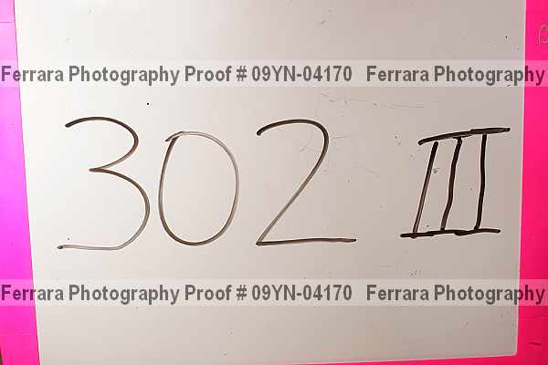 Proof Number 09yn-04170