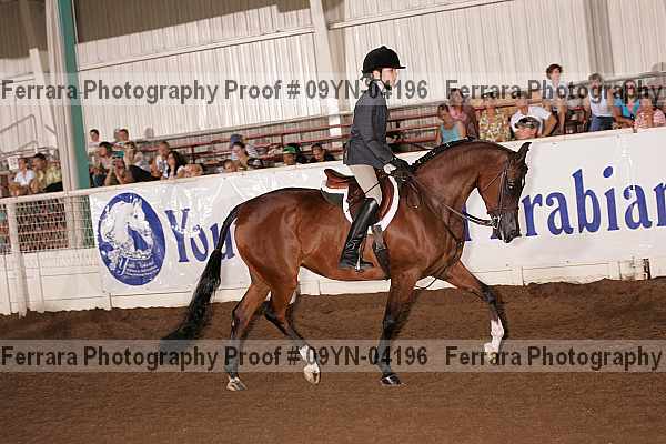 Proof Number 09yn-04196