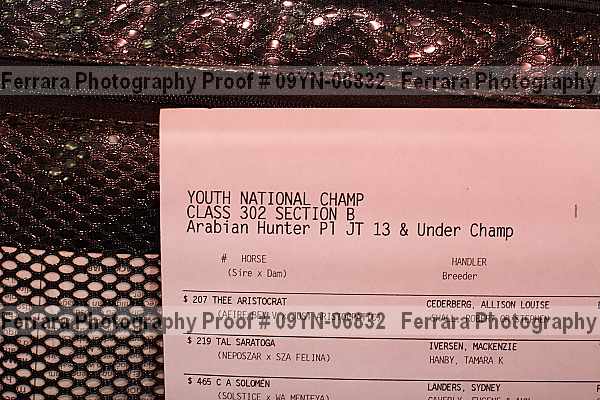 Proof Number 09yn-06832