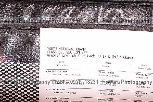 Proof Number 09yn-18231