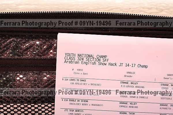 Proof Number 09yn-19496