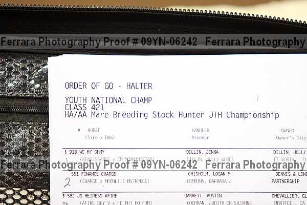 Proof Number 09yn-06242