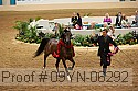 09yn-06292 thumbnail