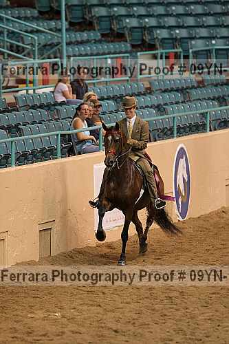 Proof Number 09yn-14031