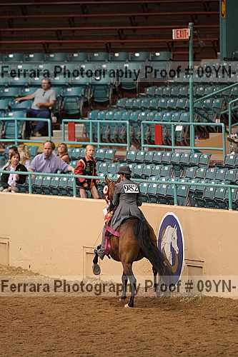 Proof Number 09yn-14039