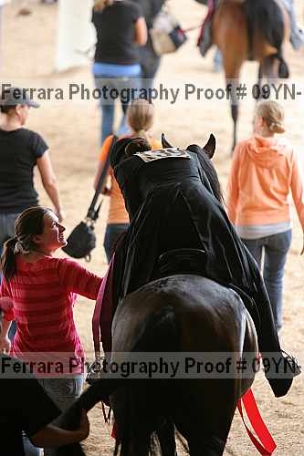 Proof Number 09yn-14070