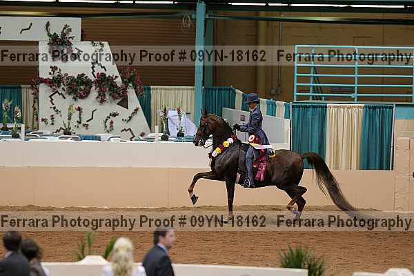 Proof Number 09yn-18162