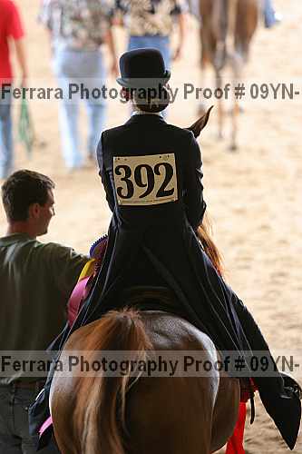 Proof Number 09yn-18188