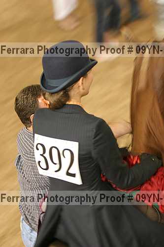 Proof Number 09yn-10603