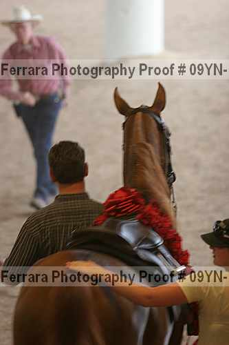 Proof Number 09yn-10624