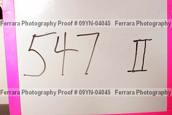 Proof Number 09yn-04045