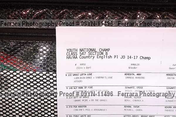 Proof Number 09yn-11496