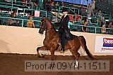 09yn-11511 thumbnail