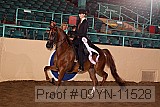 09yn-11528 thumbnail