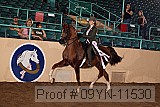 09yn-11530 thumbnail