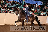 09yn-22696 thumbnail