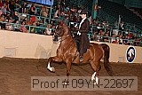09yn-22697 thumbnail
