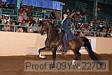 09yn-22700 thumbnail