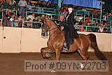 09yn-22703 thumbnail