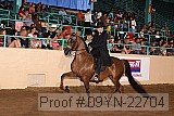 09yn-22704 thumbnail