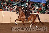 09yn-22712 thumbnail