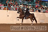 09yn-22715 thumbnail
