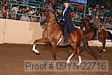 09yn-22716 thumbnail