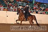 09yn-22718 thumbnail