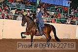 09yn-22719 thumbnail