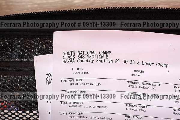 Proof Number 09yn-13309
