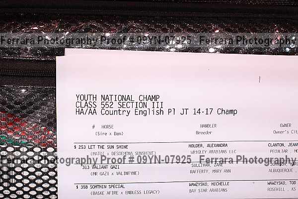 Proof Number 09yn-07925