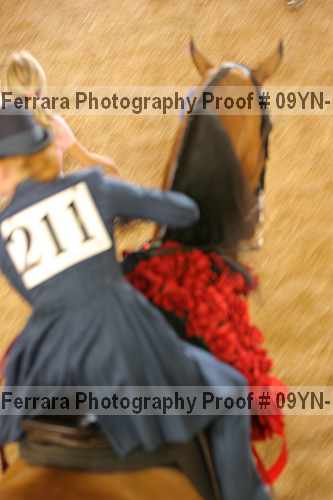 Proof Number 09yn-17833