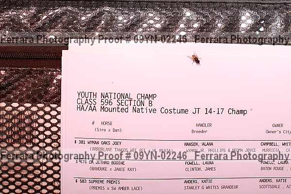 Proof Number 09yn-02246