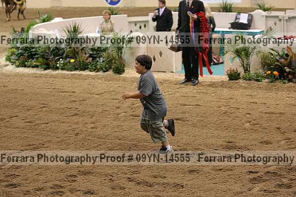 Proof Number 09yn-14555