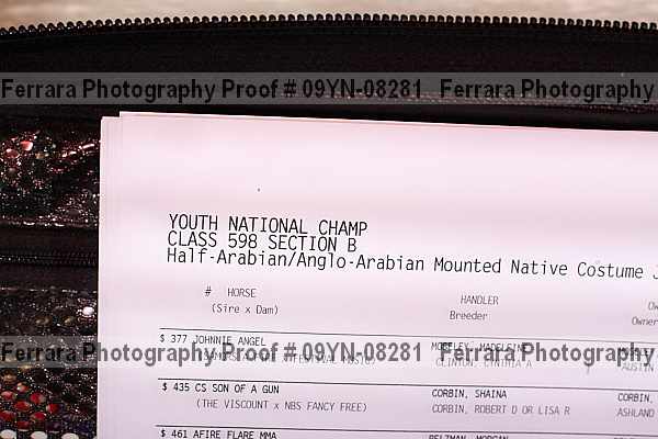 Proof Number 09yn-08281