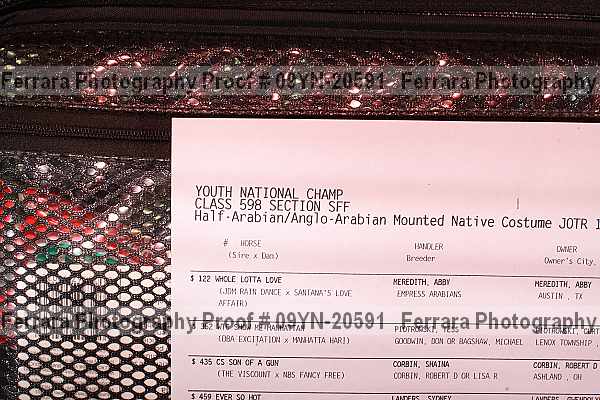 Proof Number 09yn-20591