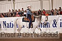 09yn-08908 thumbnail