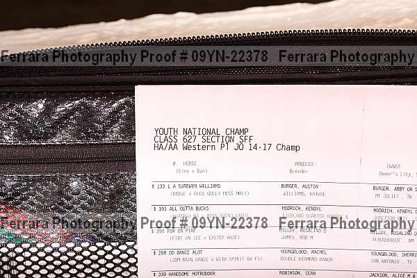Proof Number 09yn-22378