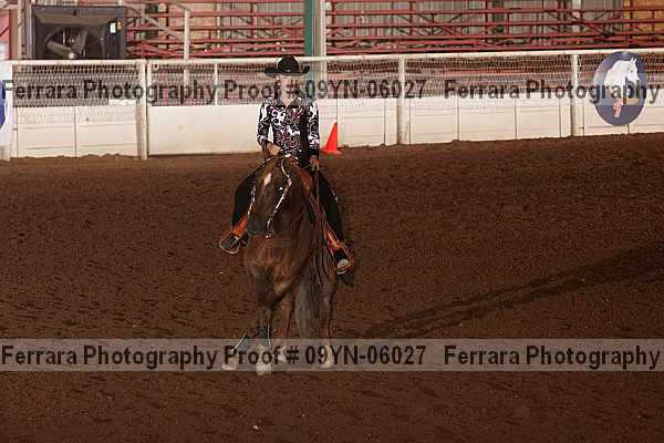 Proof Number 09yn-06027